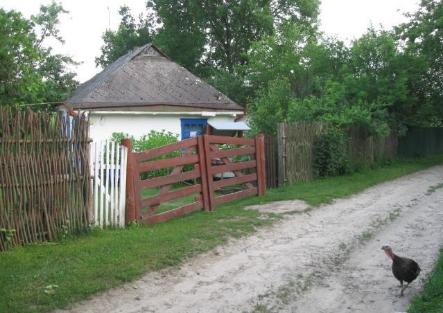 Kалиновий Kущ Dmitrenki Esterno foto